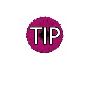 Gratuity for Design Staff